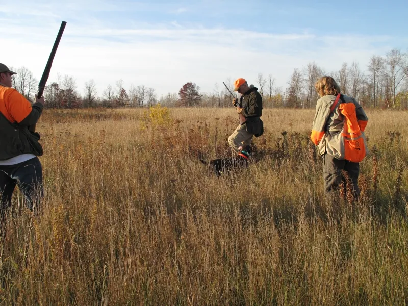 Minnesota Upland Bird Hunting Hunts Point Gun Club